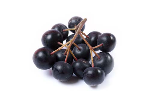 Fruits 4