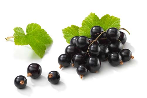 Fruits 7