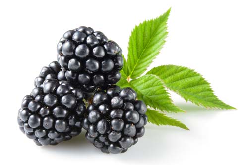Fruits 8