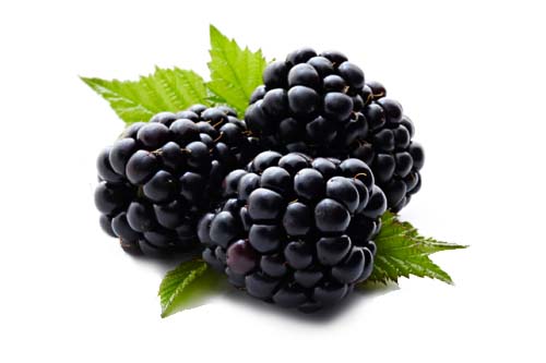 Fruits 9