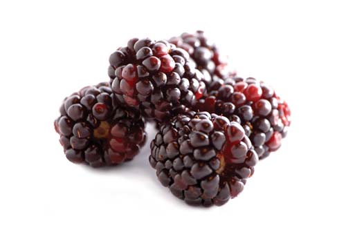 Fruits 11