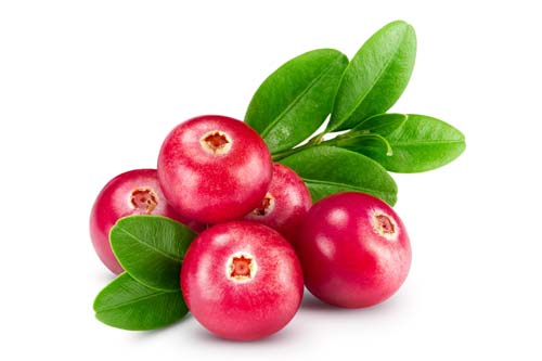 Fruits 13
