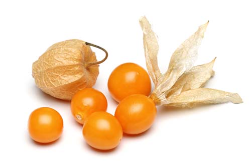 Fruits 15